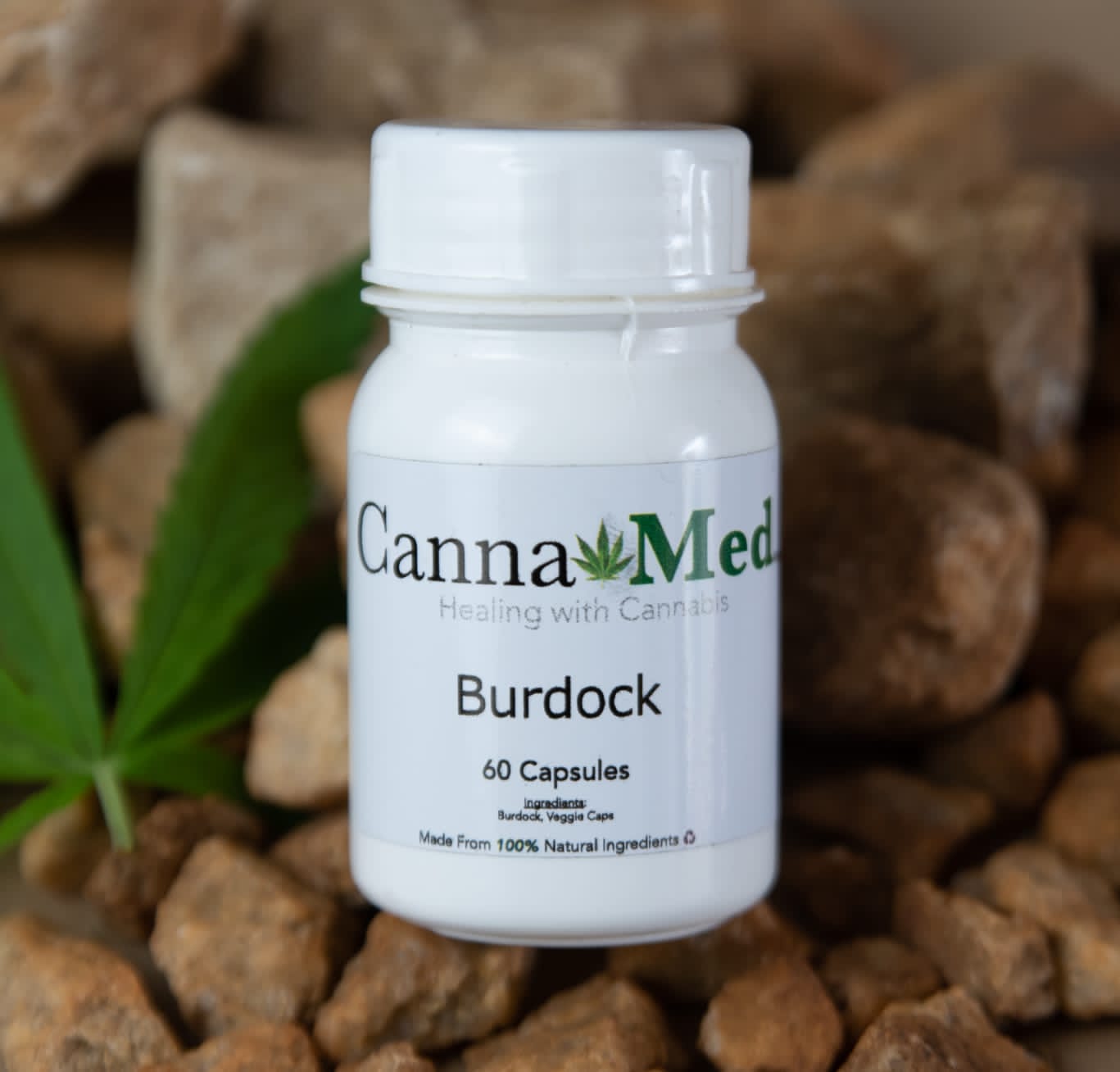 Burdock Capsules (60) - Image 2