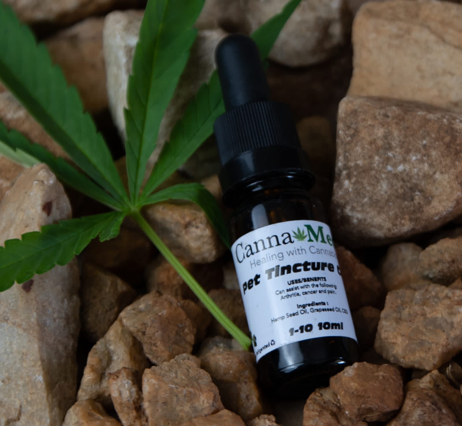 CBD Pet Tincture - Image 3