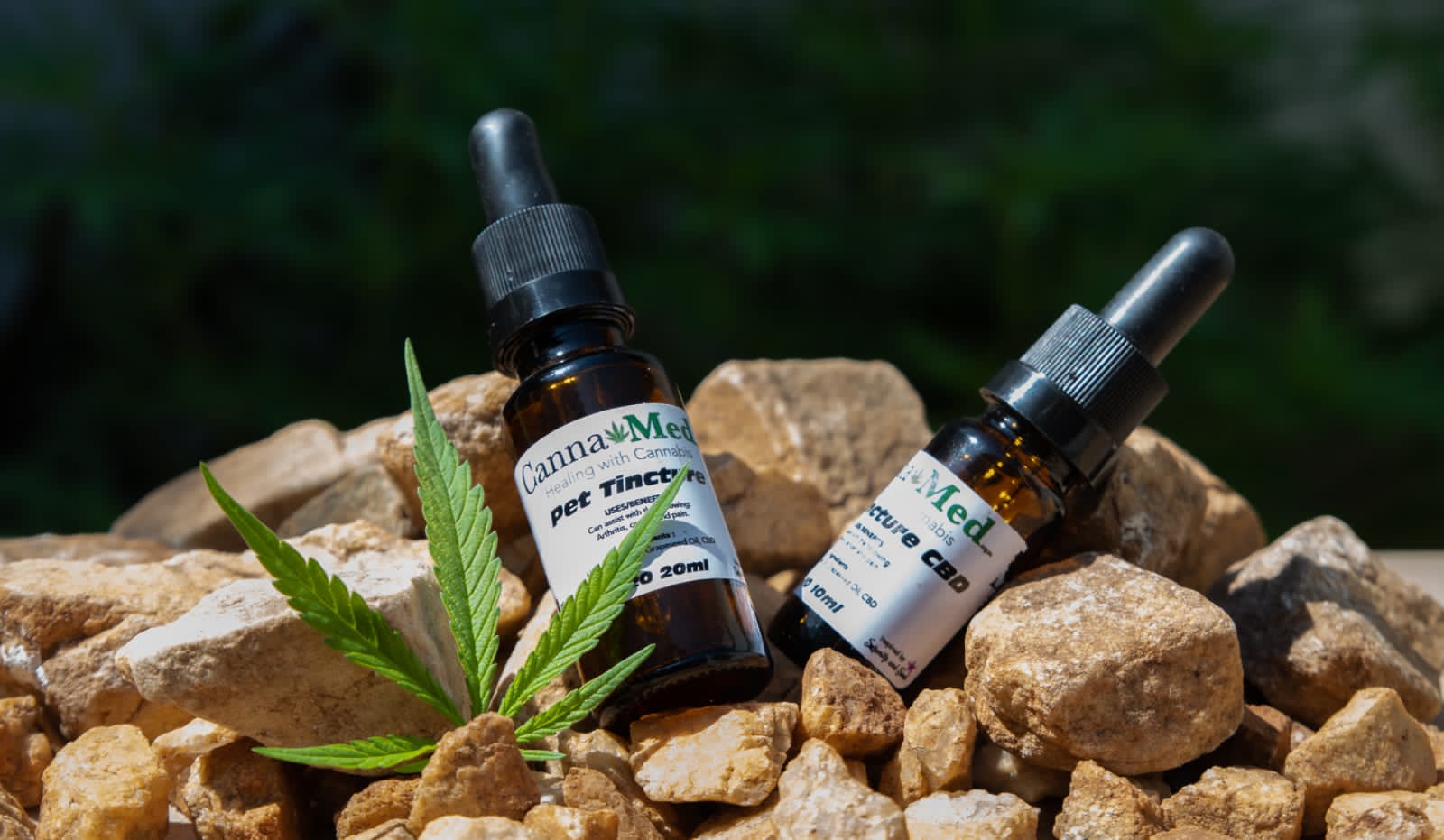 CBD Pet Tincture - Image 4